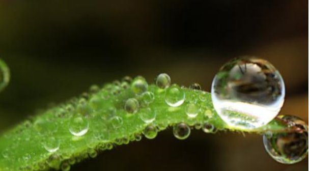 勤劳|一个家庭走向兴旺的4个征兆,你家若有一个,就要恭喜了