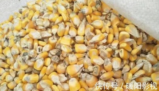 王大爷|1种粗粮是肝脏“催化剂”，医生：趁早撤下餐桌，别不当回事
