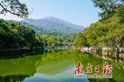 惠州打造大湾区“大花园”