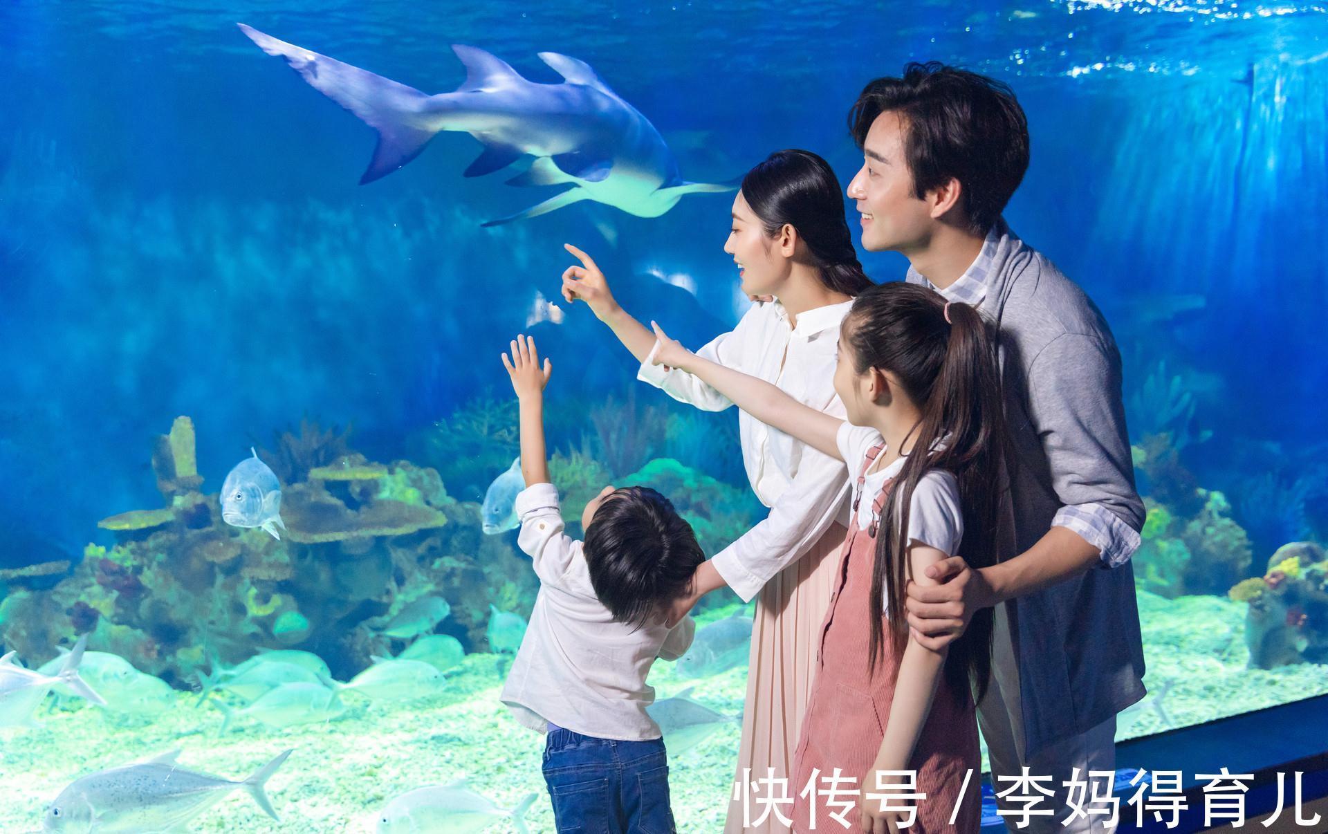 智商|哈佛研究:那些更成功的人,不是智商更高,而是具备两种特质