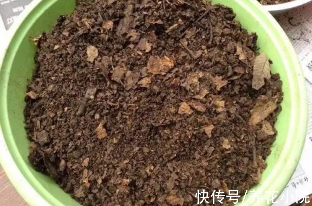 养花用什么土好?收集5种材料,配出的花土疏松透气,养啥花都旺