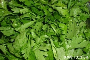 睡眠|此物全身都是宝,尤其是叶子,泡水喝,血管不堵塞,睡眠质量高