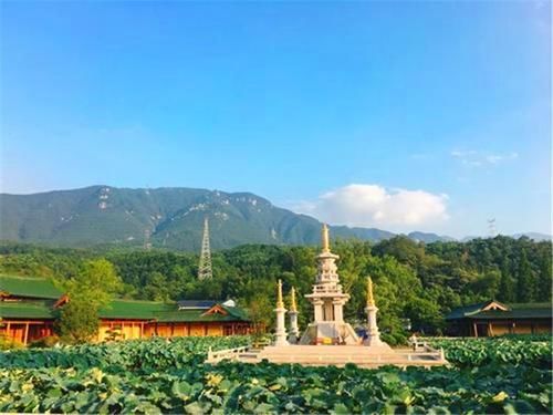 佛教|我国最良心的寺庙，不用门票烧香拜佛免费，却阻止这一类人进入