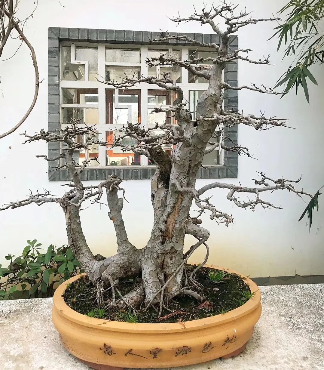 后代们&范仲淹、王阳明、曾国藩三大教子之道,教孩子成大器,道尽大智慧!