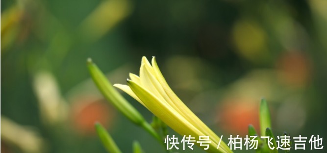 紫菜|秋天要多给孩子吃10种“钙库”,补钙长高个,营养丰富,身体棒!