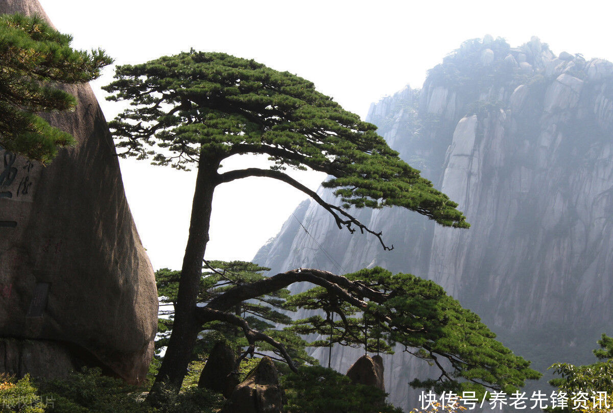 扬州|退休了就要去逛的城市，玩过两个就厉害，如果都去那就圆满了