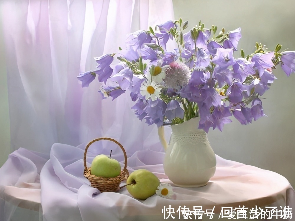 绿植|别信卧室养绿植除甲醛,还有这些花一定不要养,否则只有后悔