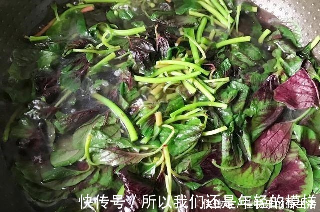 长寿菜|它是蔬菜中的瑰宝,民间称“长寿菜”,立秋后要常吃,错过等1年