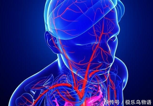 身体|颈部动脉被堵了,身体会有4个反应,睡前做好3件事可疏通防脑梗