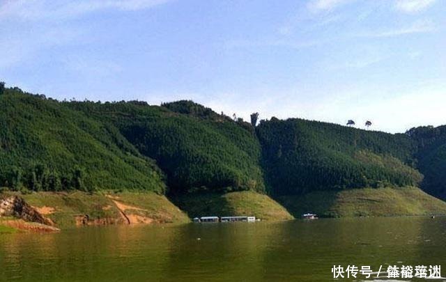 饵料|老钓手常有不错的渔获,这是为什么呢他们告诉了我钓饵的秘密!