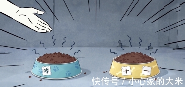 日记|非人哉90集:真狐朋狗友的合租日记,这也算大房子?
