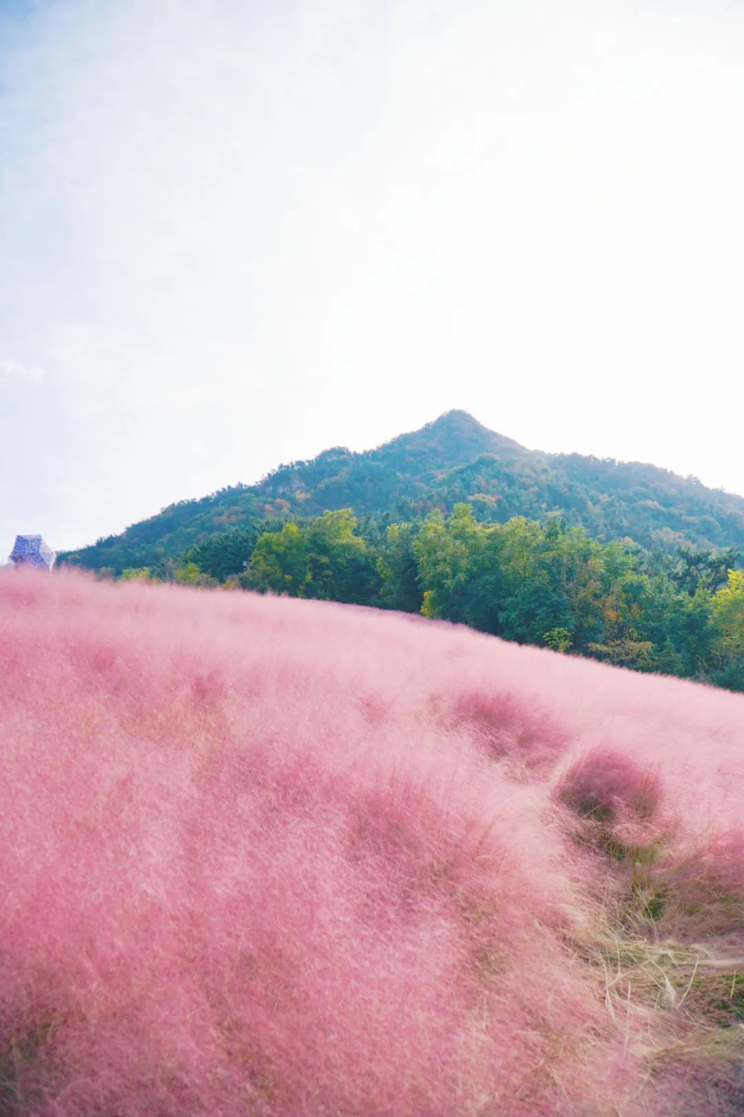 林尽染|号称“海上仙山之祖”的昆嵛山，深秋美得如此动人心魂！