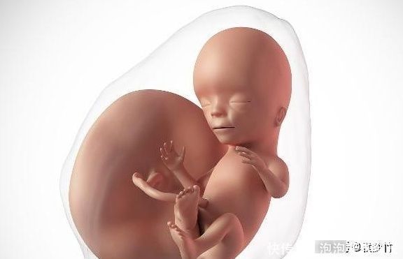 健康|怀孕期间，做B超检查会影响胎儿健康吗？其实这项检查才可能致畸