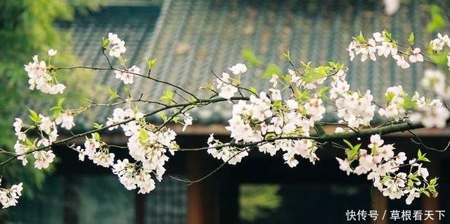 李煜|李煜很冷门的一首小词,用情至深,美得让人黯然神伤,醉了时光!