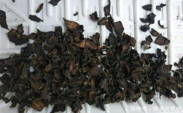 花卉|秋天准备“抗冻肥”,给君子兰、蟹爪兰“喂上”,长得旺、开花多