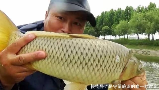 不管三七二十一,春季只要牢记4句口诀,鲫鲤鱼轮番上钩,倍儿爽