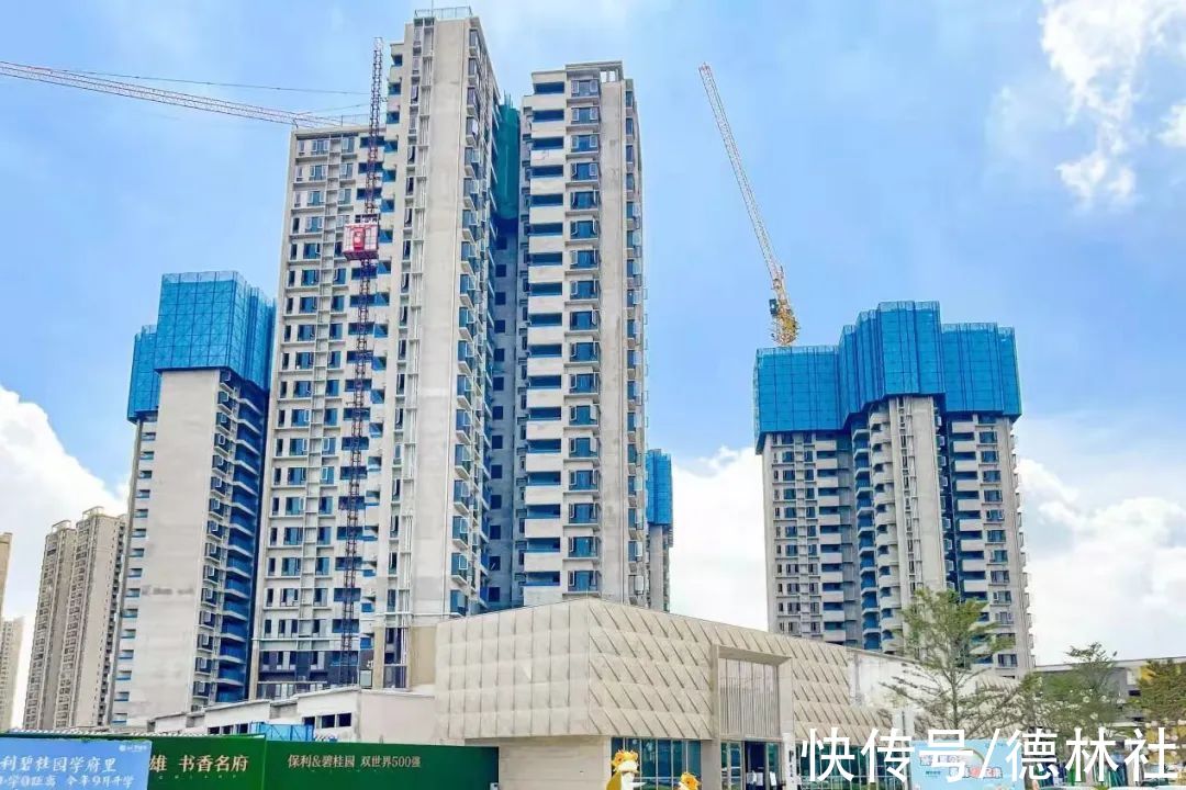 博智林机器人公司|穿越行业剧烈震荡,碧桂园延续稳健增长背后的深层逻辑