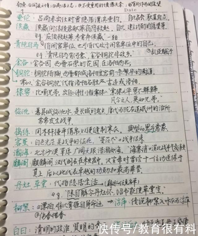 状元|高考语文146分，书法曝光惊艳众人，难怪能725分夺得状元