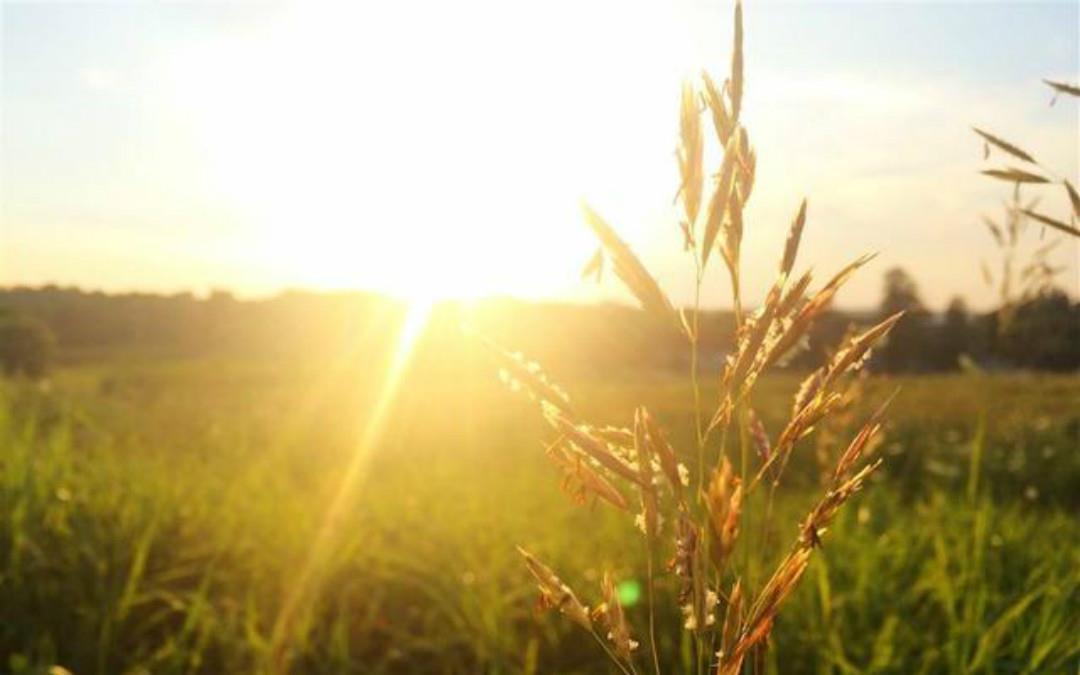 感人|元代高僧思念已故的母亲,写下一首很感人的诗,每一句都耐人寻味