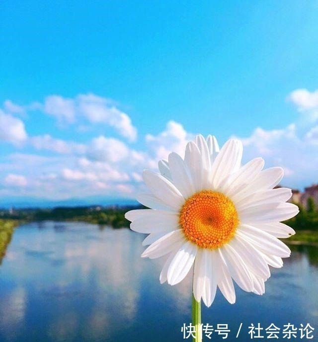 人生|令人受益匪浅的一段话,经典有理,能改变自己!