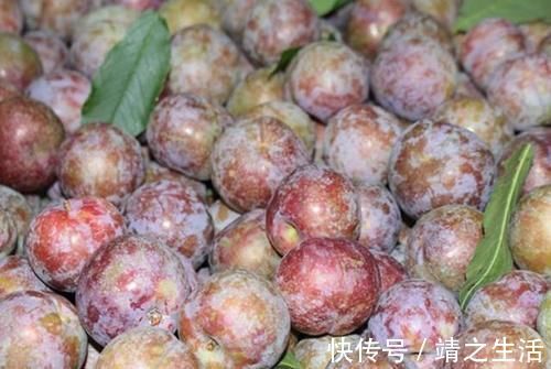 常备|女人怀孕后，冰箱里要常备这4类食物，多吃对自己和胎儿有好处