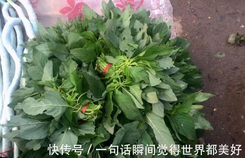 中老年人|聪明人都在吃3种食物,营养丰富、改善体质,好处多多!