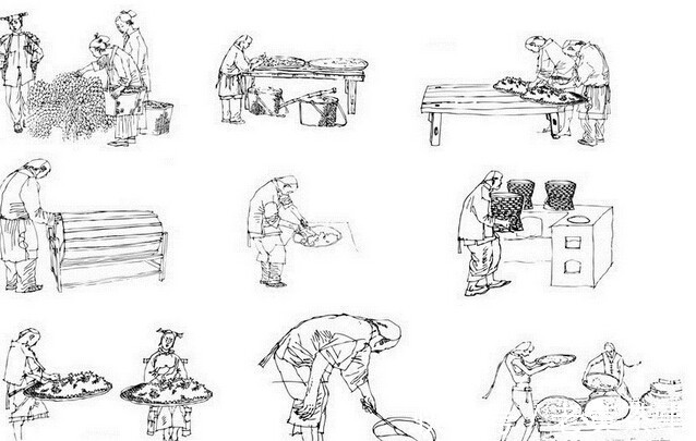 茶叶!关于饮茶时辰 :茶与四时人体之阴阳论