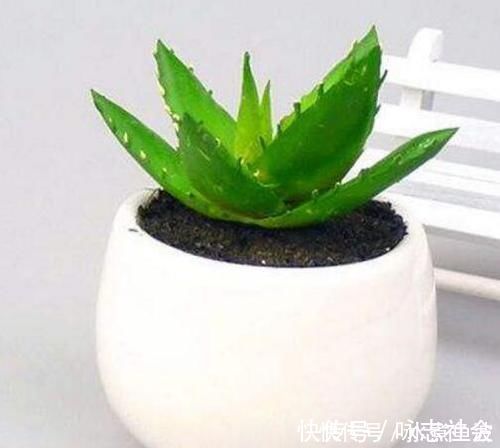 甲醛污染|新房入住有这3个征兆,预示甲醛超标更严重,快看你家有没有