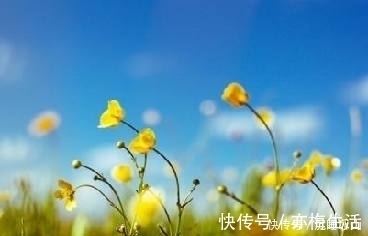 萋萋&十五首描写小草的古诗词，为君闲暇助兴，茶余饭后解闷