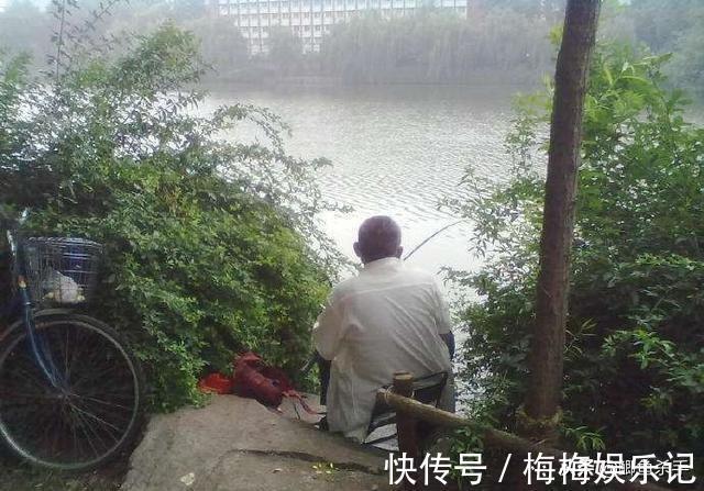 栖息|别再抢老钓位了，“秋老虎”鱼儿都藏在这，选这垂钓事半功倍