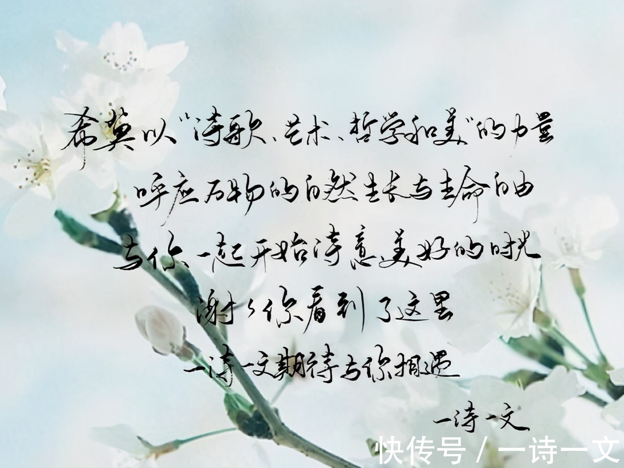 山百合&我是奔你而来，爱意自然汹涌