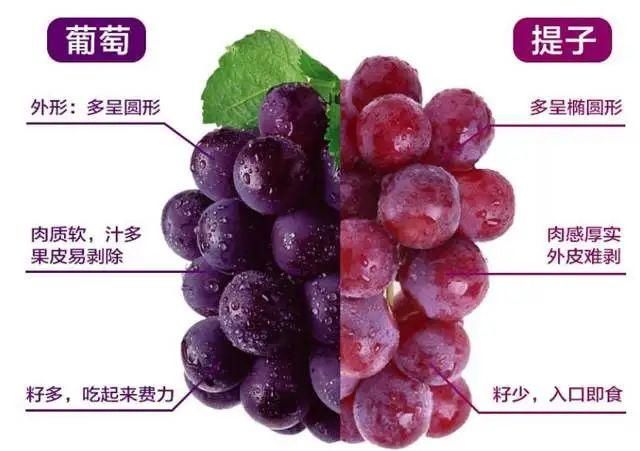 好吃|提子好吃皮难剥,别急,一个妙招轻松搞定~