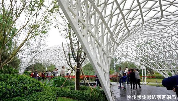 中年|69亿打造的景区,承诺免费却迟迟不兑现,如今已“凉凉”!