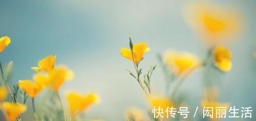 光宗耀祖|出生在几点钟的孩子，聪明机灵，会有一番作为，注定光宗耀祖