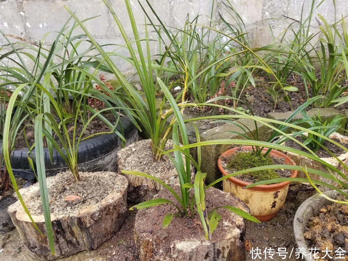 花盆选好了，花草活一半，现在就教你