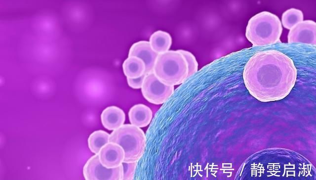 生育年龄|备孕须知,女性做好这几点,也许提高卵子颜值,早日迎接好孕