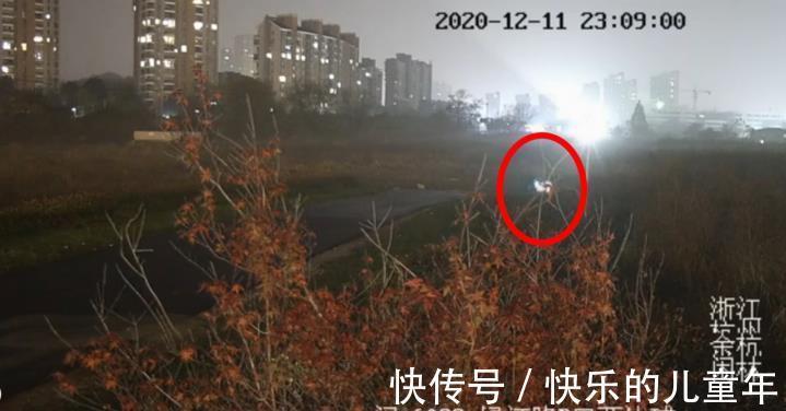 学习状态|14岁孩子学习状态不佳,父母宽容以待还是跟他较劲,你怎么选