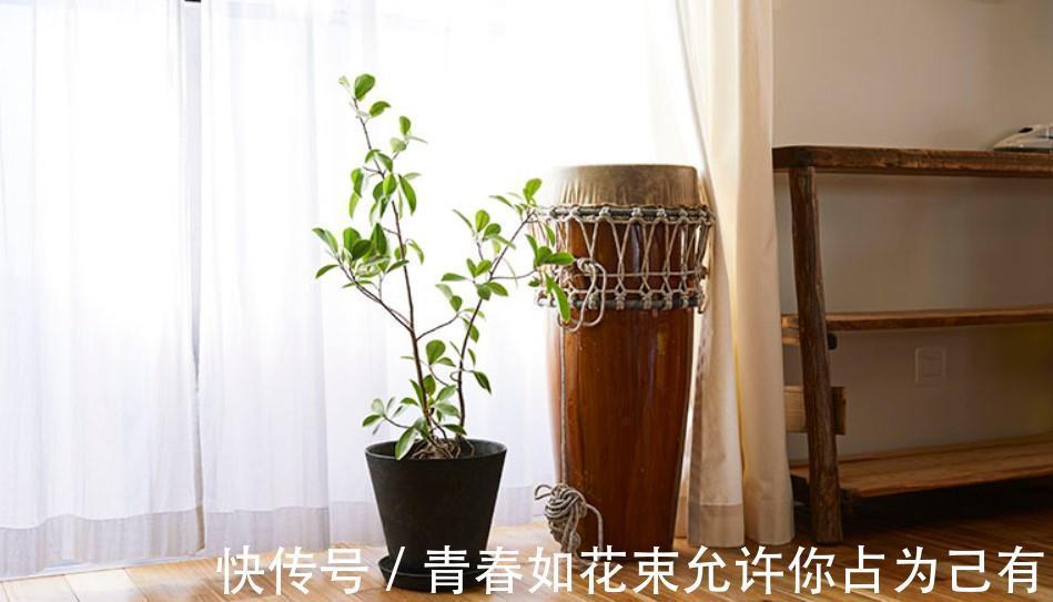 柜面|55平米3个娃!日本妈妈太厉害了,一家人蜗居也能过上精致生活