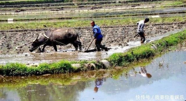 不求|农村俗语人过四十,不睡三觉,不求三人,啥意思有什么道理