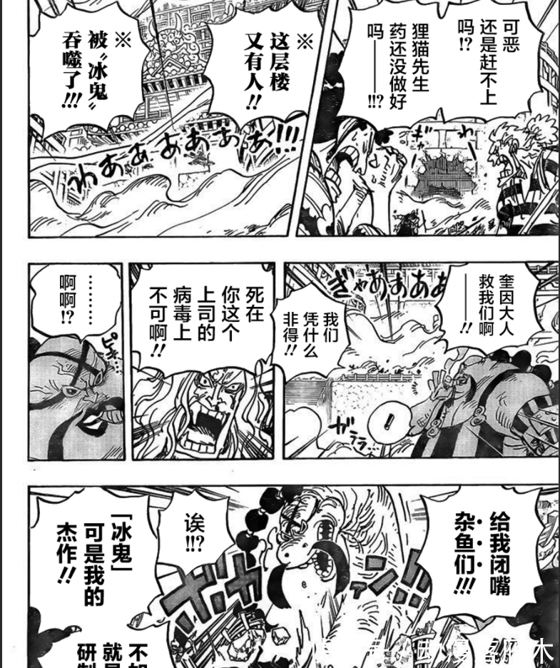 恶魔果实|1007话海贼王高质量汉化:御田穿越时空回到当下,乔巴稳稳给了三灾一拳