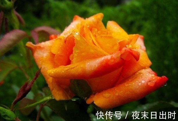 事业|往后8天,秋风送爽,寒风刺骨,前任终回头,事业有成,转身离去