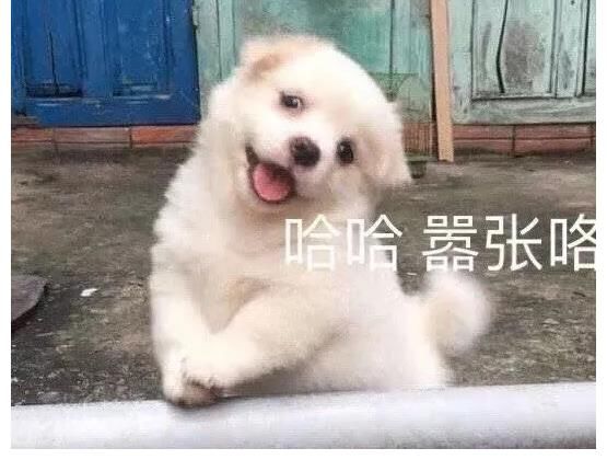 鹿晗自曝曾想過反抗「五哈」節(jié)目組最終卻放棄了，主要因為……