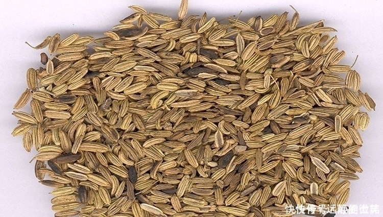 钓友|手把手教你自制钓鱼小药 成本低诱鱼效果好通杀鲫鲤草鱼