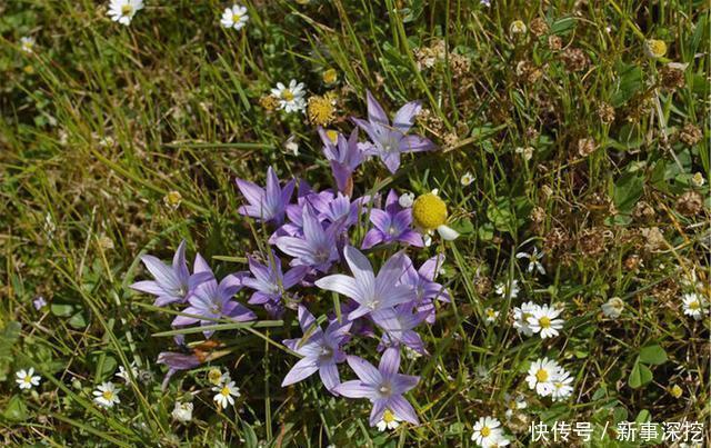 世界|能容纳世界的人,有一颗比这世界还要宽广的心