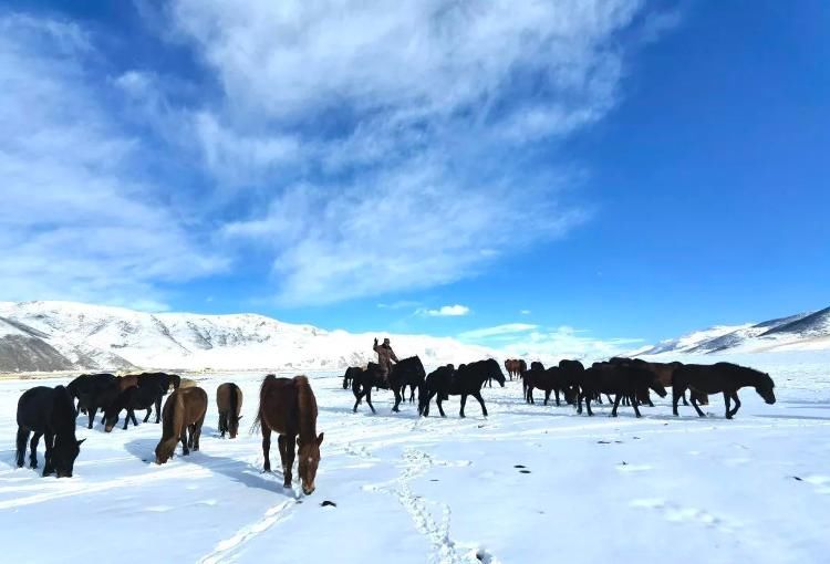 骑马|-38℃，骑马的兵哥哥真帅！