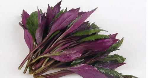 康普|秋天晚上坚持吃的食物,营养丰富,改善体质,排毒养颜,身体更好