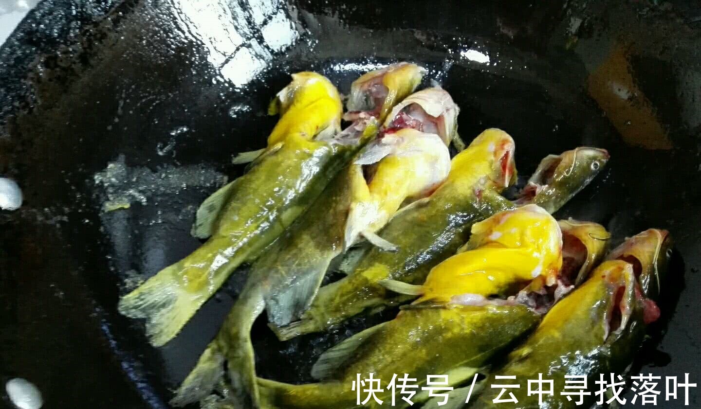 带鱼|入秋后，“贴秋膘”可别乱补，分享秋后5种鱼，营养解馋，不怕胖！