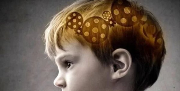 十万个为什么|娃的五个“小动作”,证明他智商爆表,如果有,请偷着笑吧