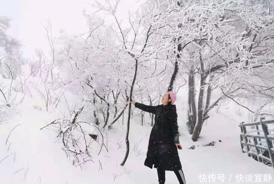 中年|难得一见的春日雪景,美到心醉!