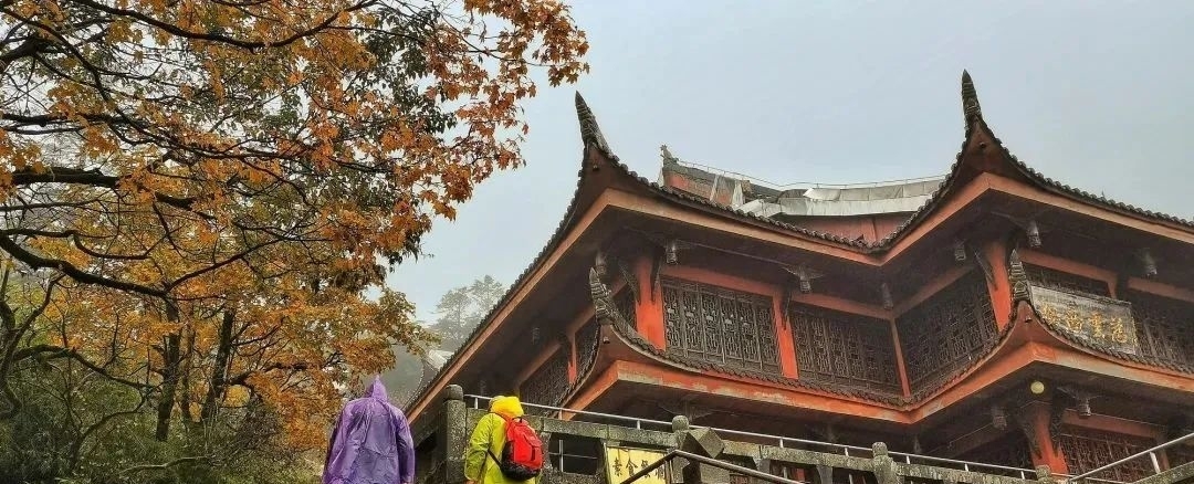 彩林|秋韵乐山，开启一场“红叶”之旅